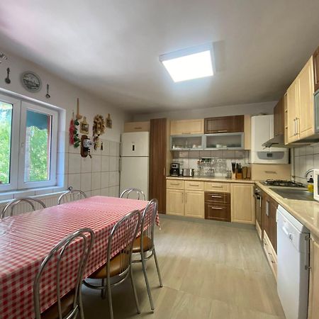 Vila Mara Busteni Ngoại thất bức ảnh