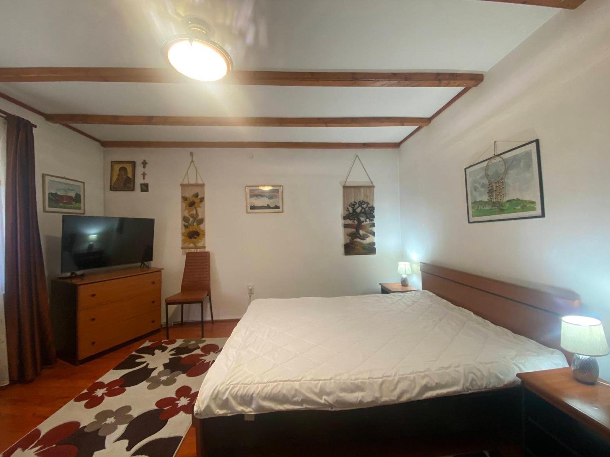 Vila Mara Busteni Ngoại thất bức ảnh